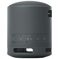 Haut-parleur sans fil Bluetooth étanche SRS-XB100 de Sony - Noir