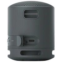Haut-parleur sans fil Bluetooth étanche SRS-XB100 de Sony - Noir