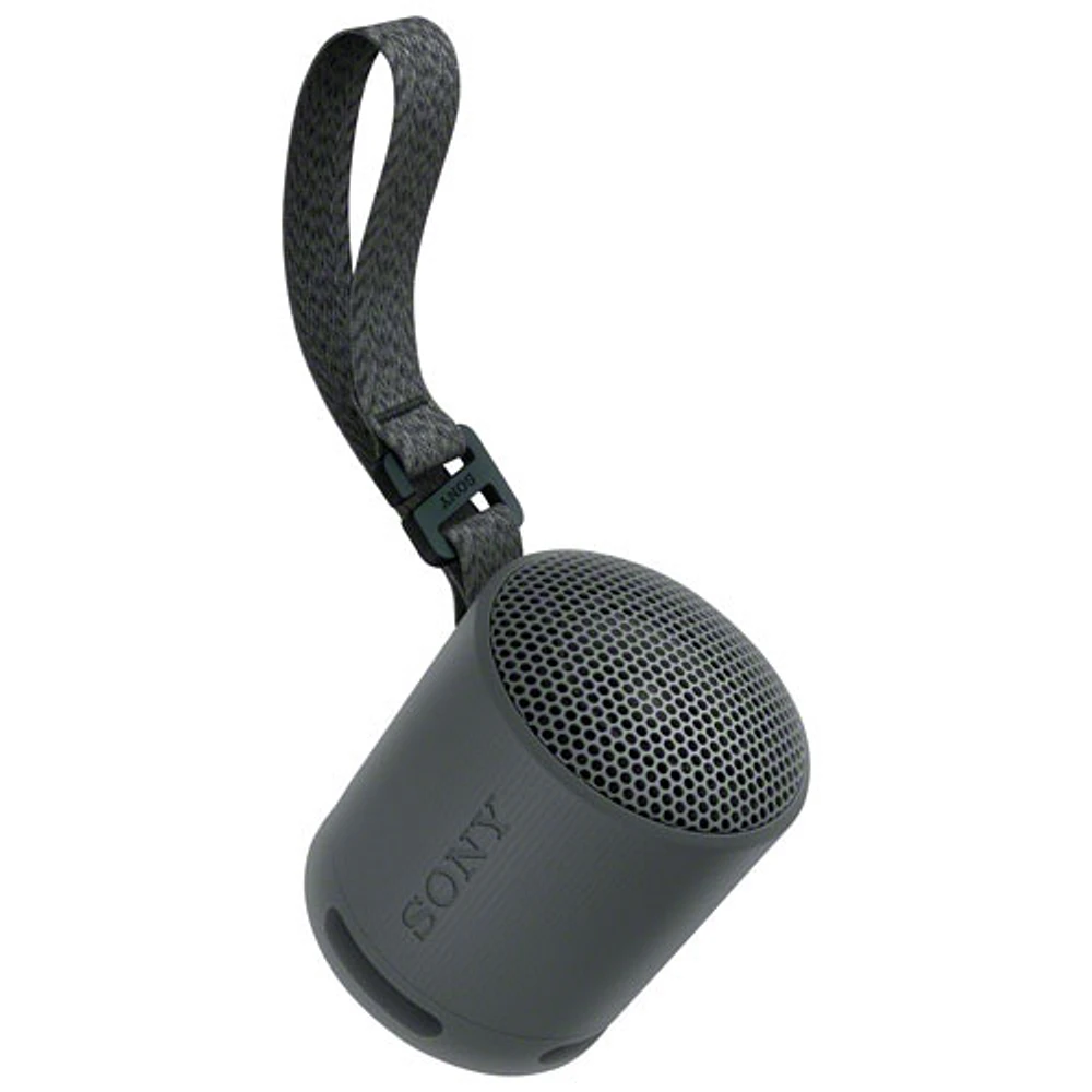 Haut-parleur sans fil Bluetooth étanche SRS-XB100 de Sony - Noir