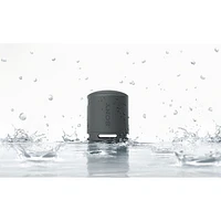 Haut-parleur sans fil Bluetooth étanche SRS-XB100 de Sony - Noir