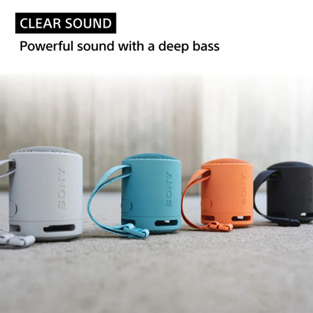 Haut-parleur sans fil Bluetooth étanche SRS-XB100 de Sony - Noir