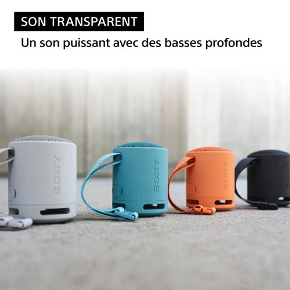 Haut-parleur sans fil Bluetooth étanche SRS-XB100 de Sony - Noir