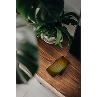 Belkin BoostCharge Pro Easy Align 15W Wireless Charging Pad - Black