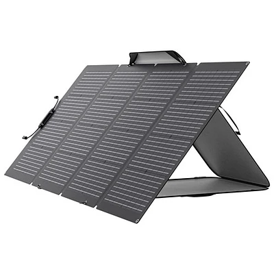 Panneau solaire portatif biface d'EcoFlow - 220 W