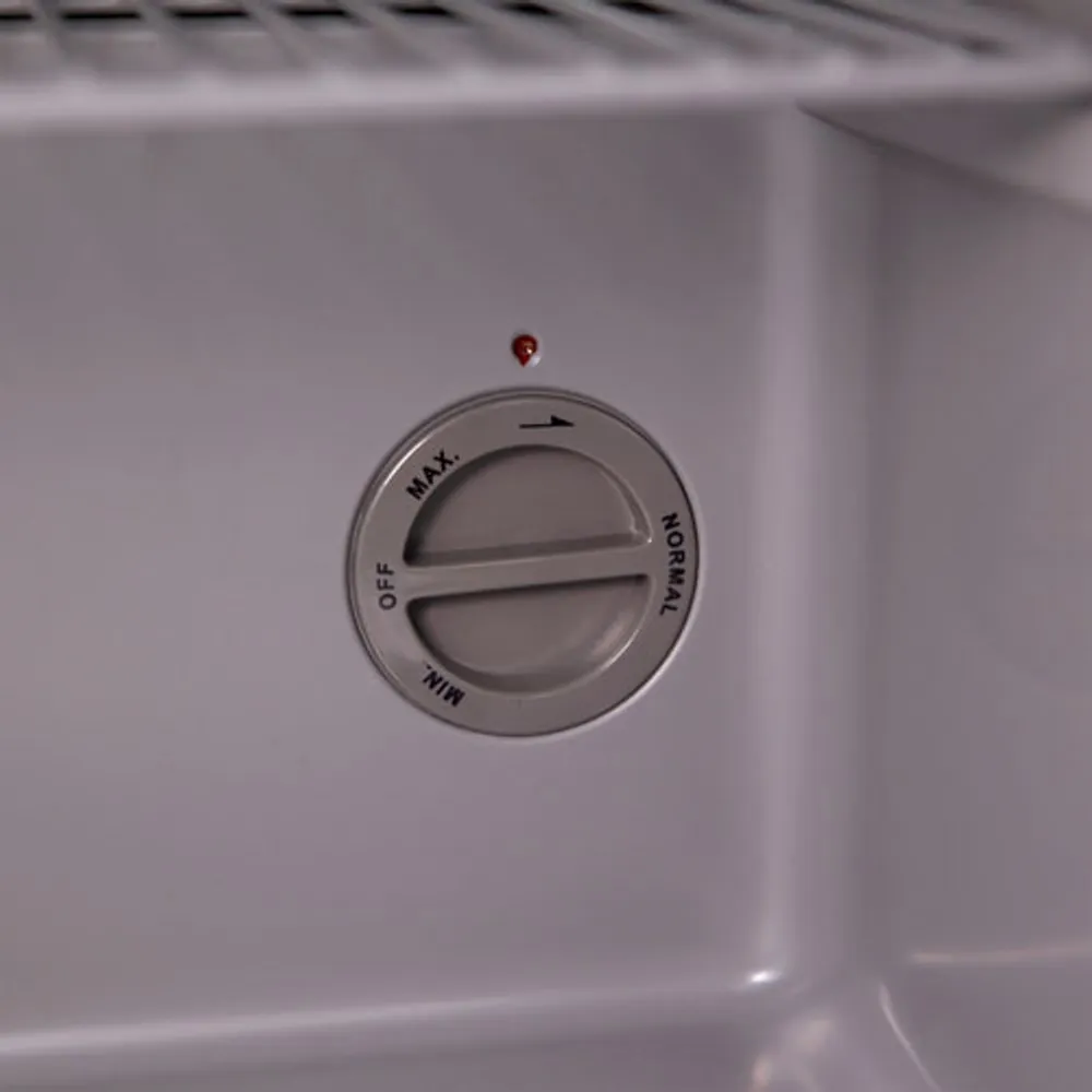 Réfrigérateur à boissons de 1,6 pi³ pour 60 canettes d'Avanti (ARBC17T2) - Platine