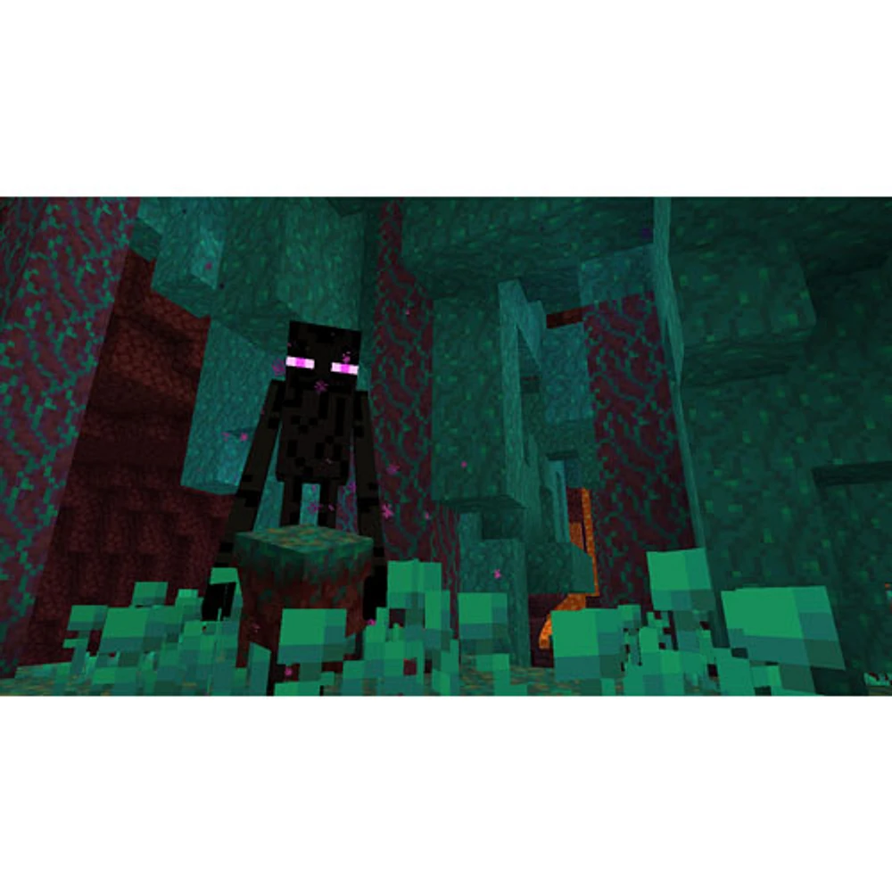 Minecraft: Bedrock Edition + 3500 Minecoins (Xbox Series X / Xbox One)