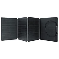EcoFlow RIVER 2 Portable Power Station & 110 Watts Solar Panel Bundle