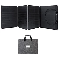 EcoFlow RIVER 2 Portable Power Station & 110 Watts Solar Panel Bundle