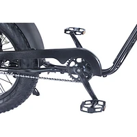 Gotyger EarthRider Fat Tire Electric Cargo Bike (500W Motor/ Up to 45km Battery Range) - Black