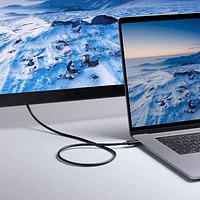 Câble Thunderbolt 4.0 USB-C à USB-C de 0,7 m (2,3 pi) d'Anker (A8859H11-5) - Gris
