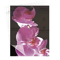 Pochettes de plastification à chaud de 9 x 11,5 po ImageLast de Fellowes avec protection UV - mil
