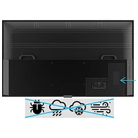 Neptune Full Sun 65" 4K UHD HDR LED webOS Outdoor Smart TV (ODTV6504)