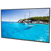 Neptune Full Sun 55" 4K UHD HDR LED webOS Outdoor Smart TV (ODTV5504)