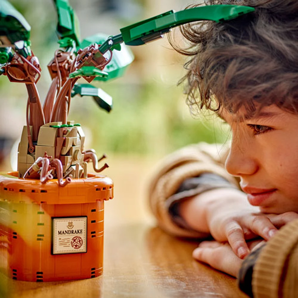 LEGO Harry Potter: Mandrake - 579 Pieces (76433)
