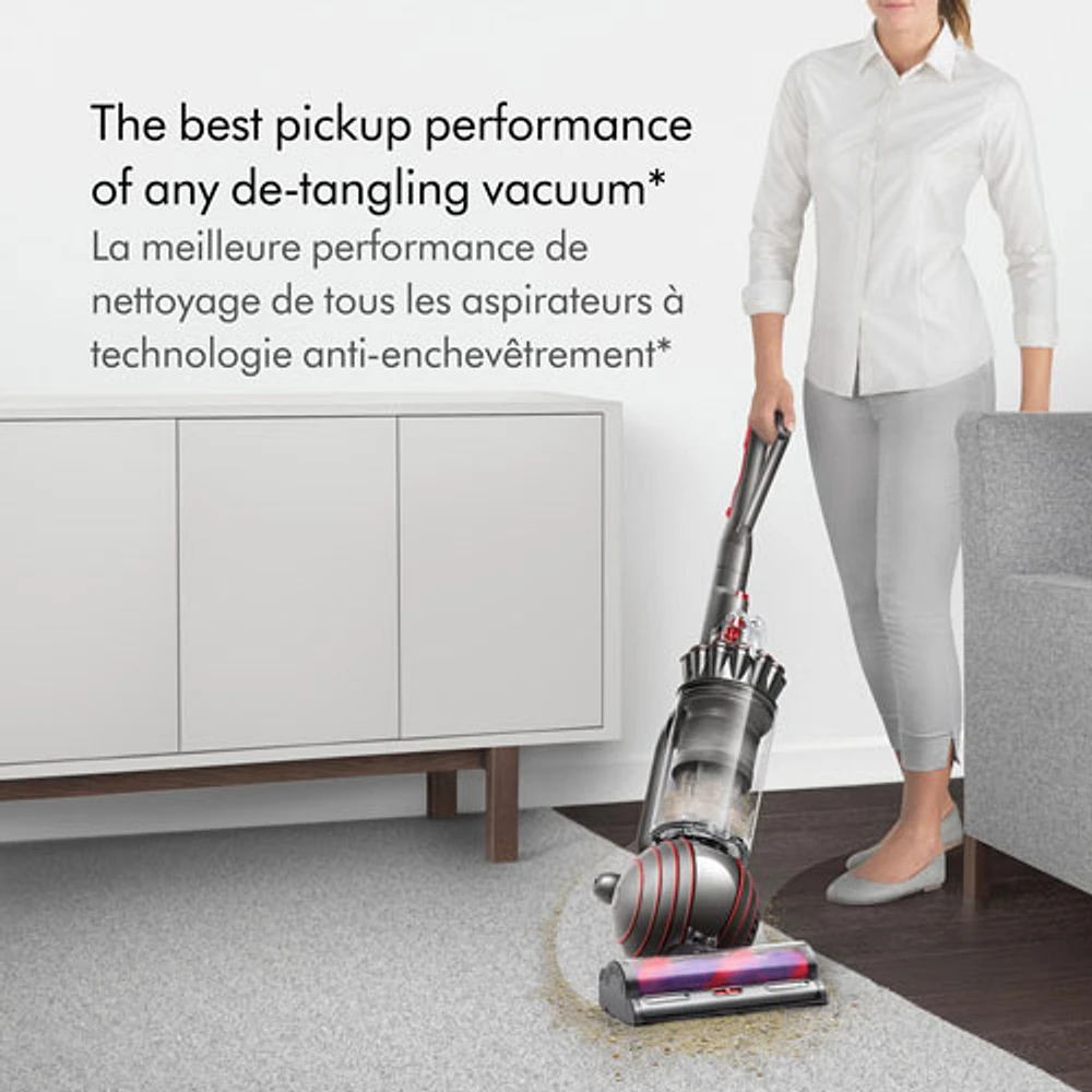 Aspirateur vertical sans sac Ball Animal 3 de Dyson - Nickel/Argenté