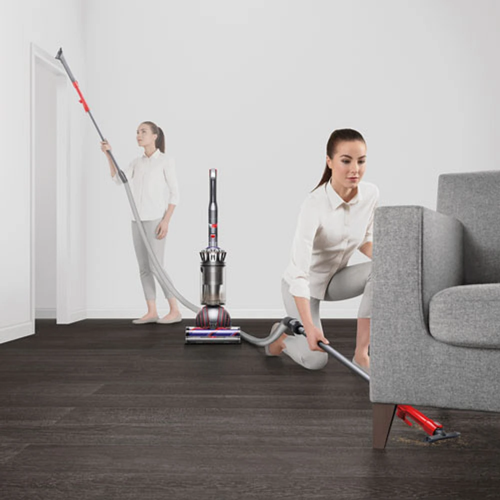 Aspirateur vertical sans sac Ball Animal 3 de Dyson - Nickel/Argenté