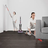 Aspirateur vertical sans sac Ball Animal 3 de Dyson - Nickel/Argenté