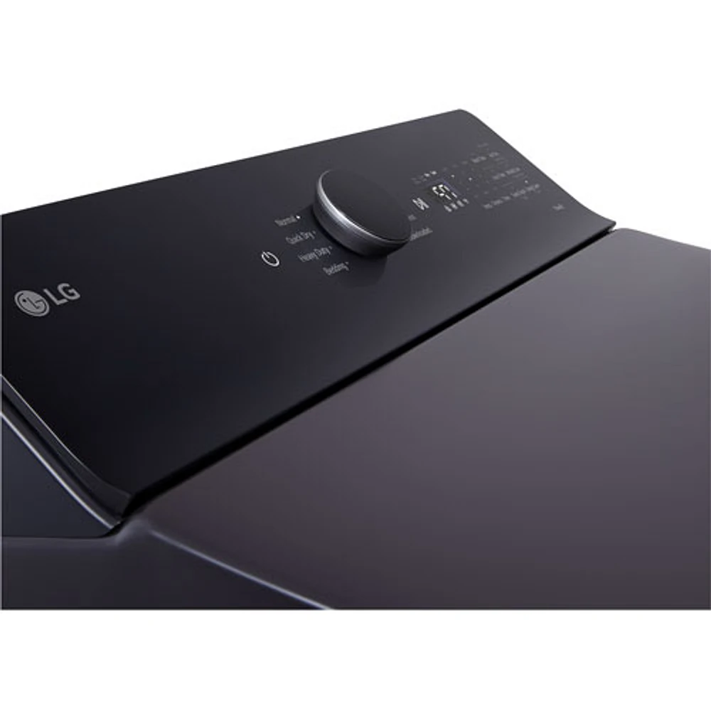 LG 7.3 Cu. Ft. Ultra Large Capacity Rear Control Electric Dryer (DLE8400BE) - Matte Black