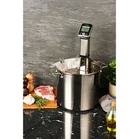 Circulateur à immersion pour cuisson sous vide d'All-Clad - Argenté