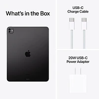 Apple iPad Pro 13" 2TB with Wi-Fi (7th Generation) - Space Black