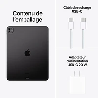 Apple iPad Pro 13" 2TB with Wi-Fi (7th Generation) - Space Black