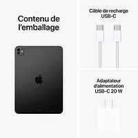 Apple iPad Pro 11" 1TB with Nano-Etched Glass & Wi-Fi (5th Generation) - Space Black
