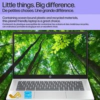 HP 14" Chromebook - Glacier Silver (Intel N-series N100/4GB RAM/128GB SSD/Chrome OS)