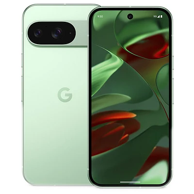 Pixel 9 de 256 Go de Google avec Koodo - Thé des bois - Forfait Balance sélectionné