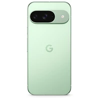 Pixel 9 de 256 Go de Google avec Koodo - Thé des bois - Forfait Balance sélectionné