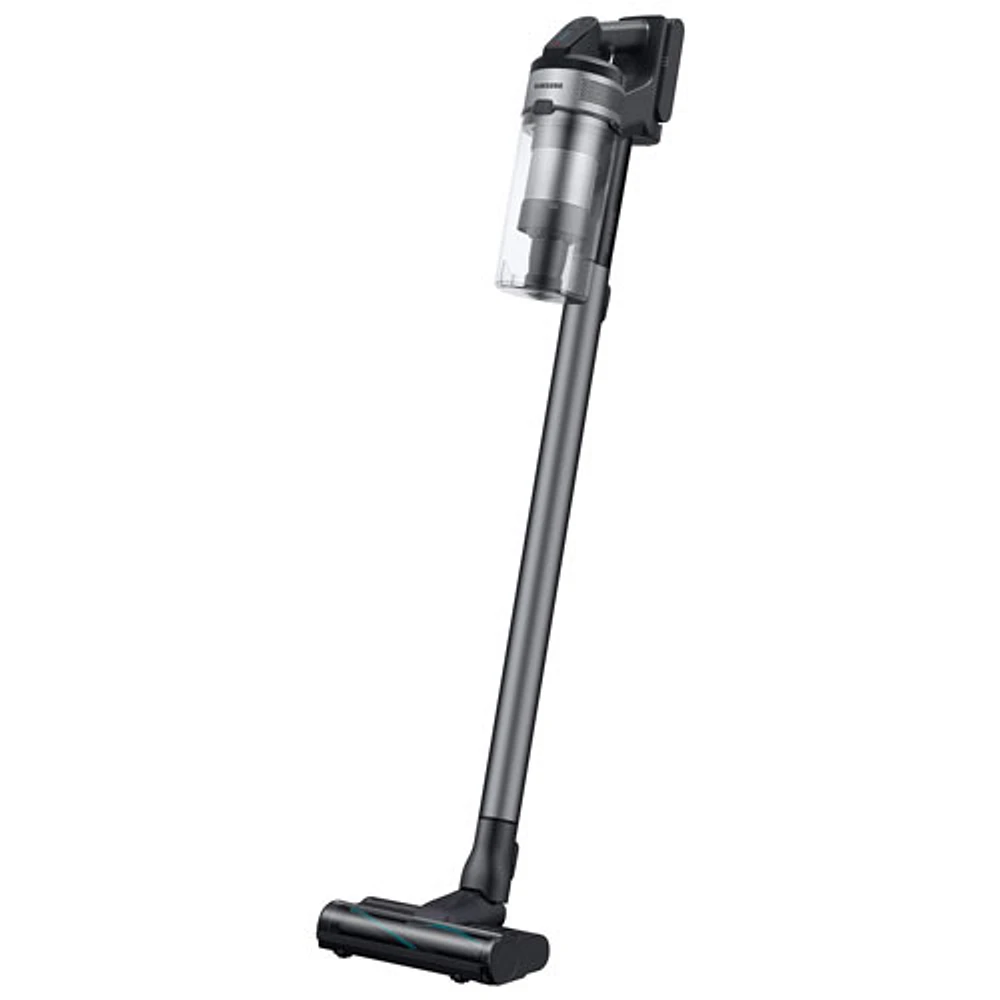 Aspirateur vertical sans sac et sans fil pour animaux domestiques Jet75 de Samsung - Noir - Exclusivité Best Buy