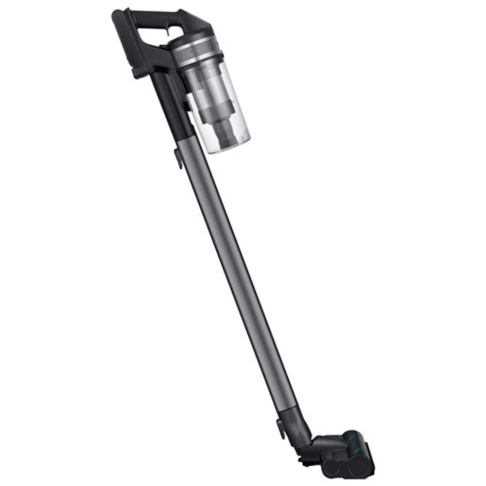 Aspirateur vertical sans sac et sans fil pour animaux domestiques Jet75 de Samsung - Noir - Exclusivité Best Buy