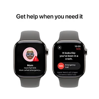 Koodo Apple Watch Series 10 (GPS + Cellular) 42mm Natural Titanium Case with Stone Grey Sport Band - / Medium