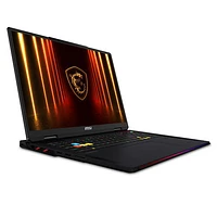 Portable de jeu Raider 18 HX 18 po de MSI - Noir (Core Ultra9-285HX Intel/RAM 64 Go/SSD 4 To (2 x 2 To)/RTX 5080)