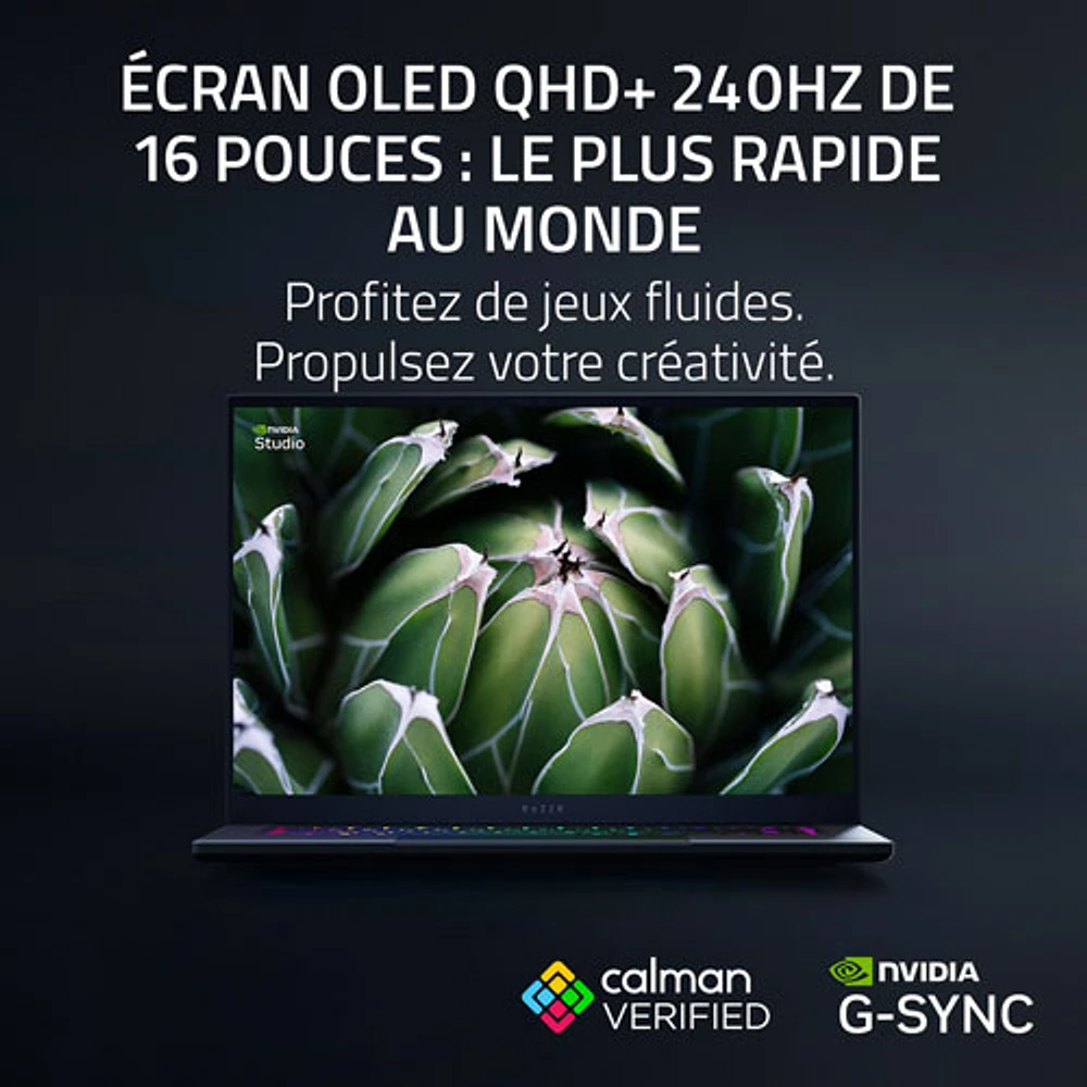 Portable de jeu de 16 po Blade de Razer - Noir (Ryzen AI 9 365 d'AMD/RAM 32 Go/SSD 1 To/RTX 5080)