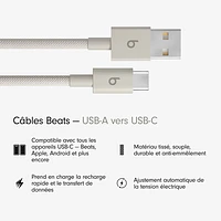Beats By Dr. Dre 1.5m (4.9 ft.) USB-A to USB-C Woven Cable (MDGJ4LL/A) - Surge Stone