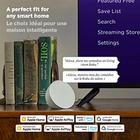 Roku Streaming Stick 2025 HD Media Streamer with Voice Remote
