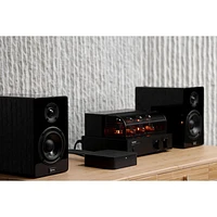Wiim Pro Plus Audio Streamer