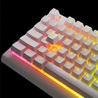 SteelSeries Apex 3 Backlit TKL Ergonomic Gaming Keyboard - White - English