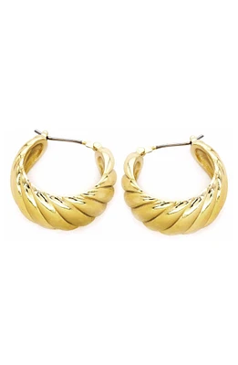 Croissant Twist Hoop Earrings