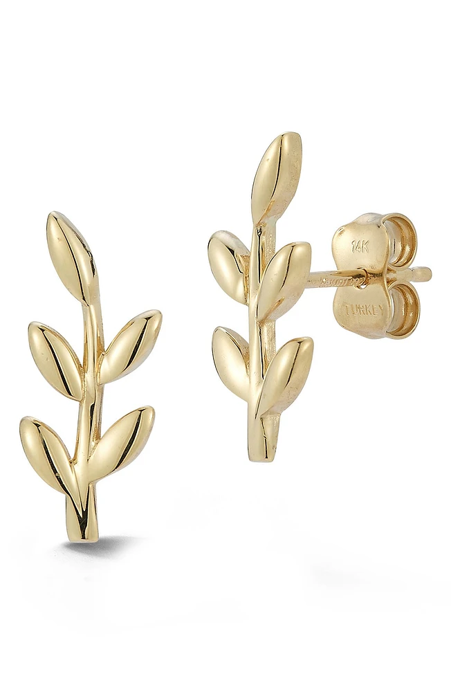 14K Yellow Gold Branch Stud Earrings
