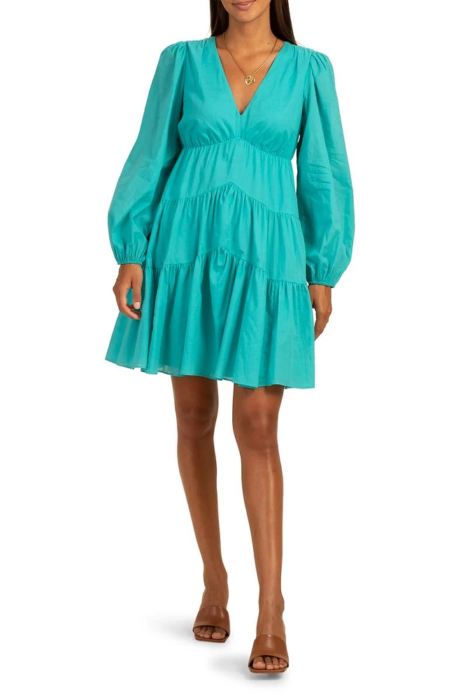 Make Merry Tiered Long Sleeve Dress