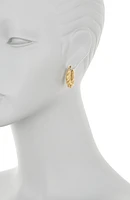 Charlotte Twist Hoop Earrings