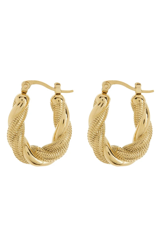 Charlotte Twist Hoop Earrings