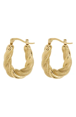 Charlotte Twist Hoop Earrings