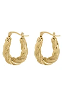 Charlotte Twist Hoop Earrings