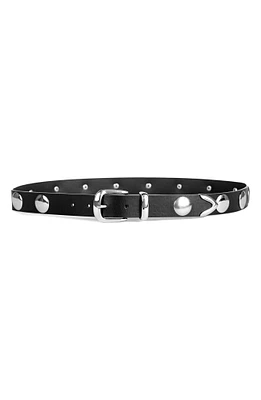 Disc Stud Belt