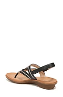 Sunny Slingback Thong Sandal