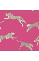 Cheetah Print Wallpaper