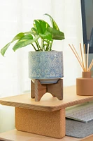 4.37" Star Ceramic on Stand - Glass Blue