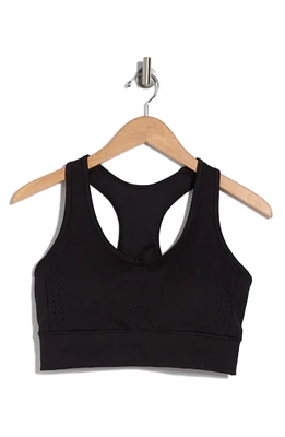 Hazel Sports Bra
